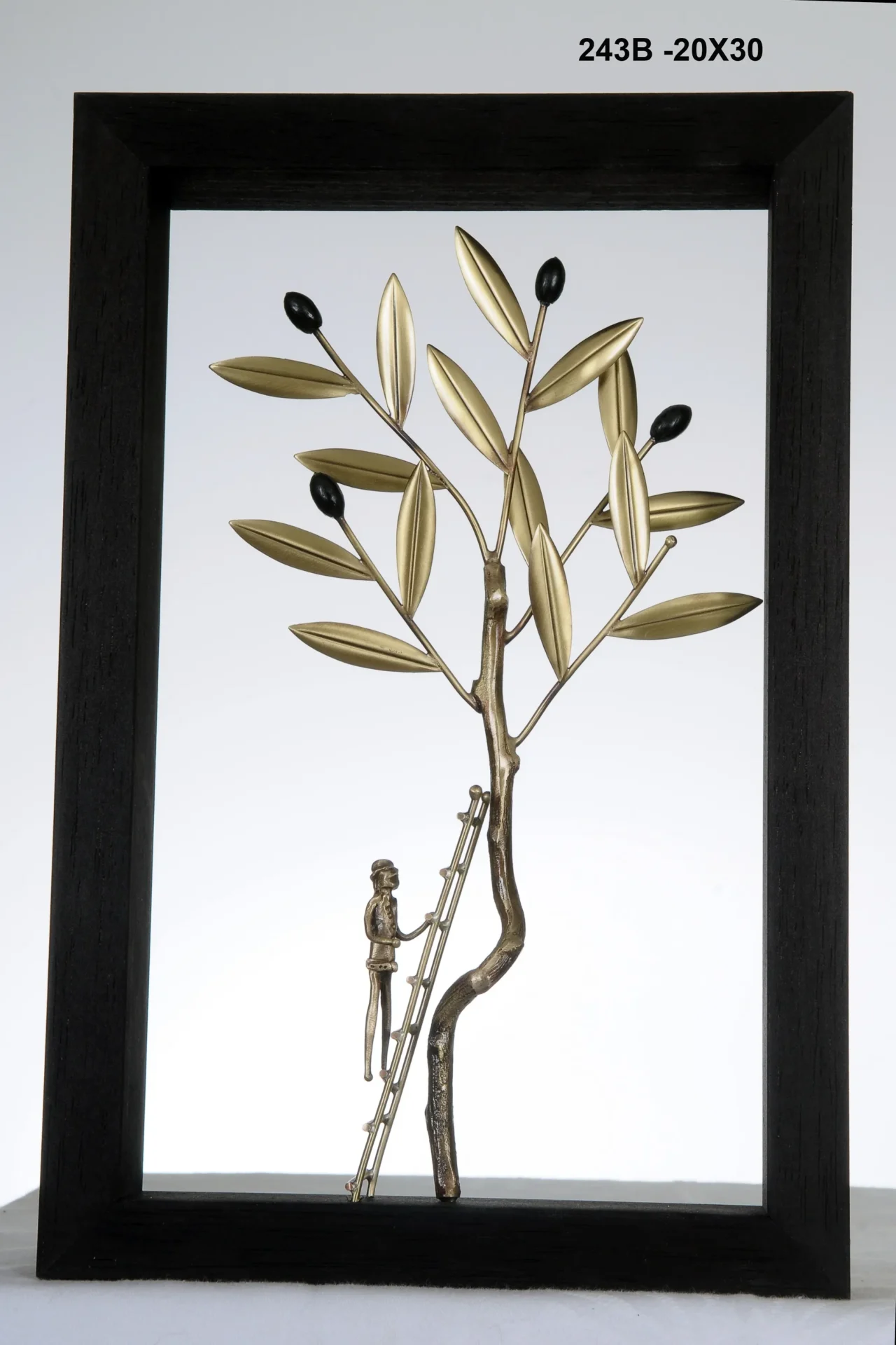OLIVE - 243B